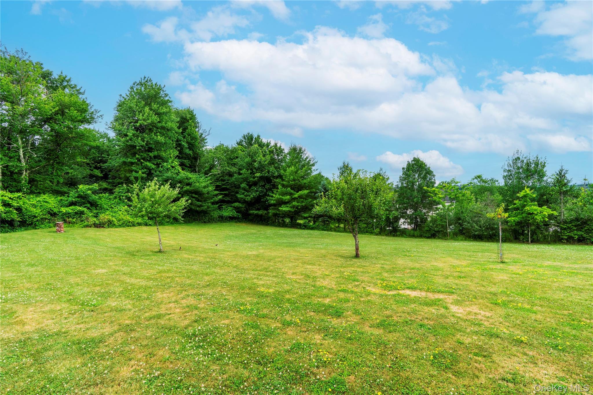 46 Wildflower Ridge