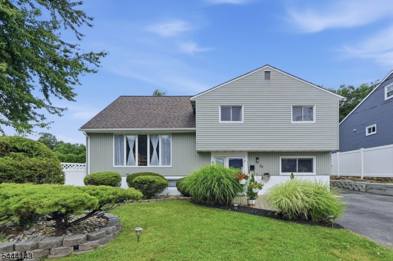 29 Daniel St