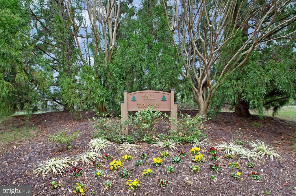 1333 TALL TIMBERS DRIVE