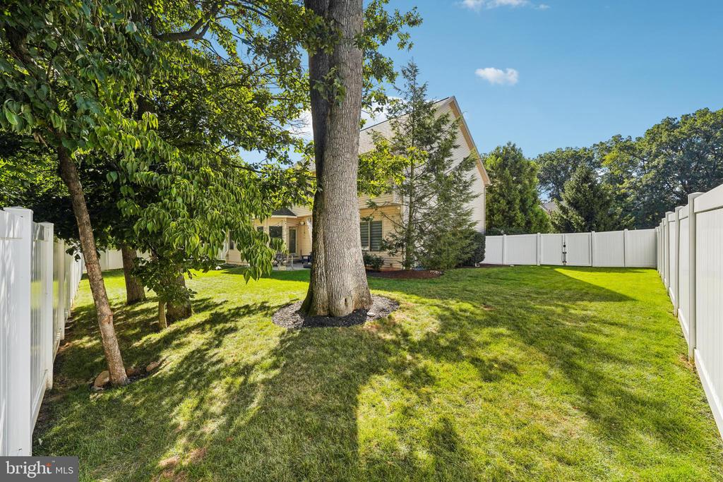 6139 PALOMINO DRIVE