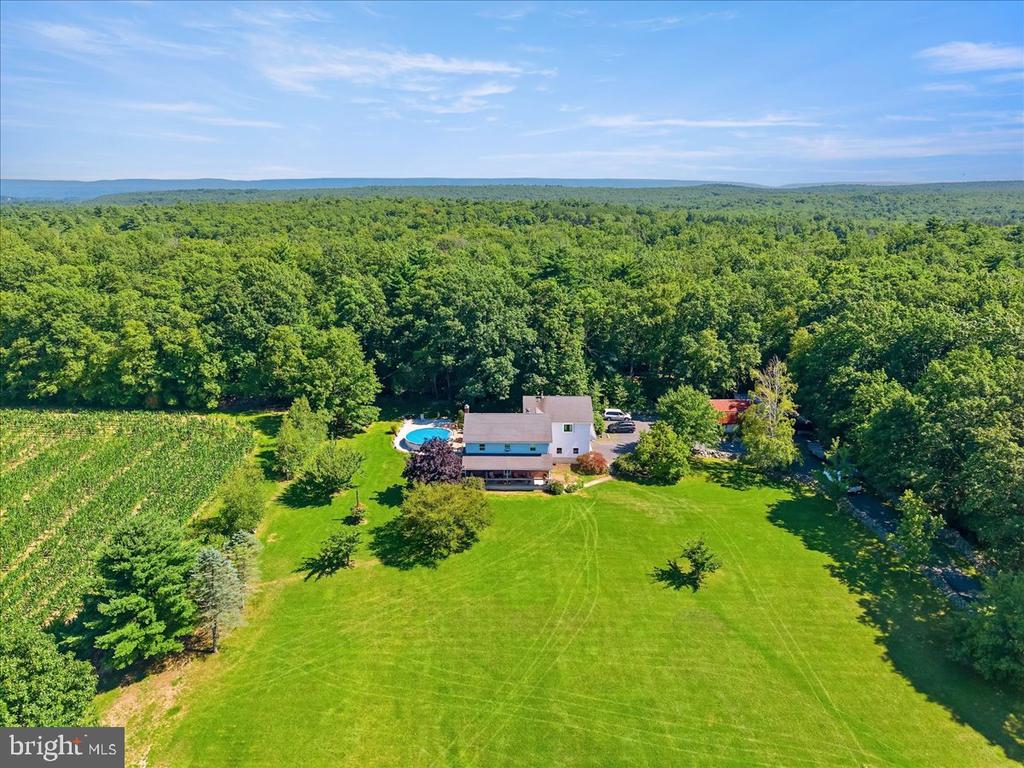 163 MULBERRY LANE
