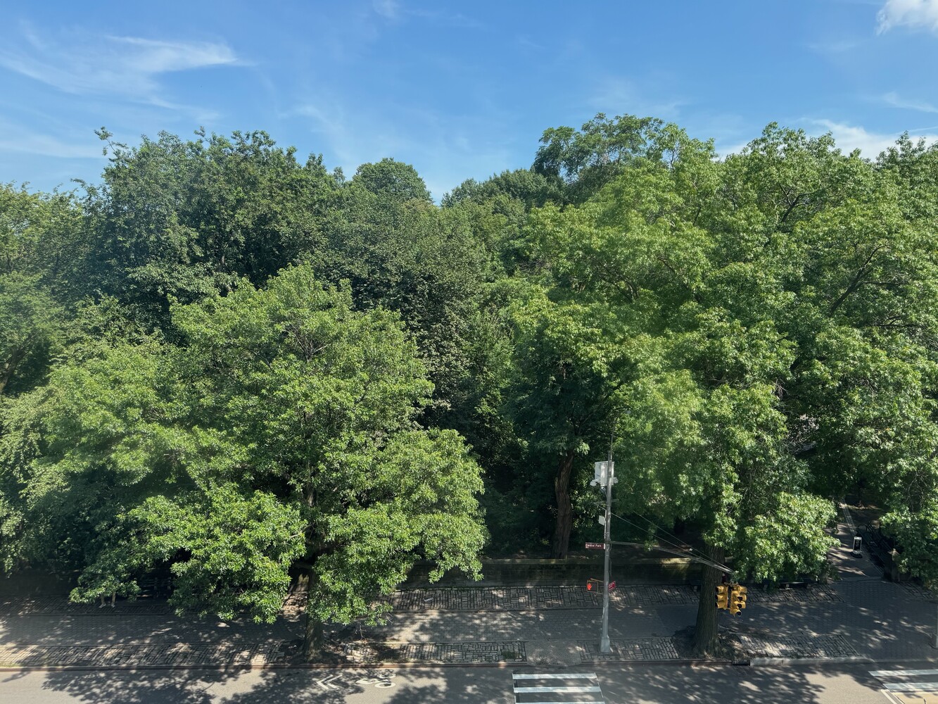 478 CENTRAL Park W 5B