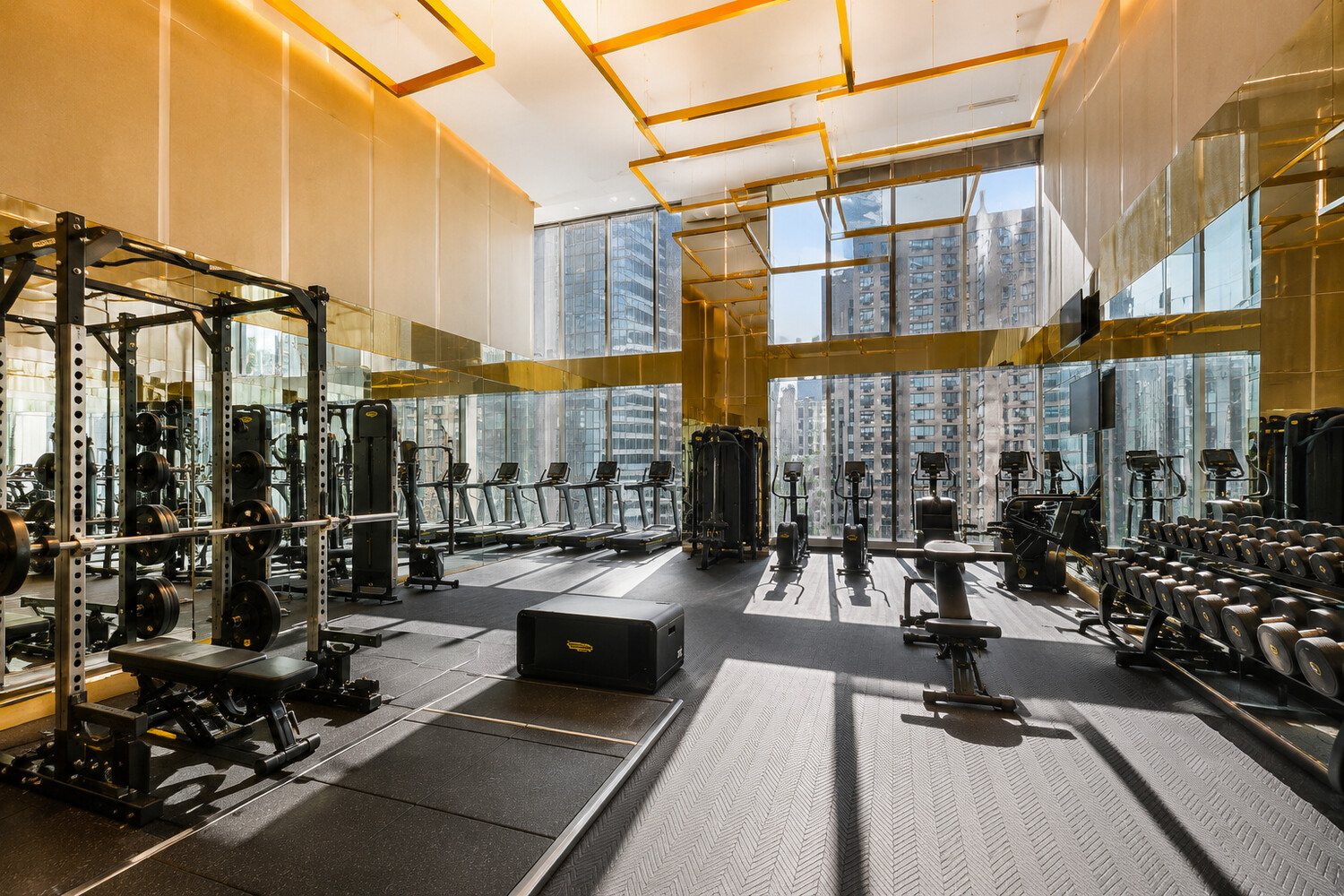 217 W 57TH Street 80W