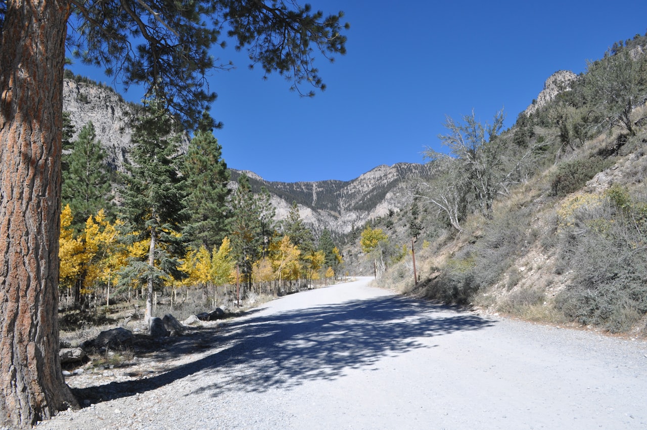 Mount Charleston